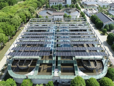 美玉化工：消泡剂生产领域的璀璨之星